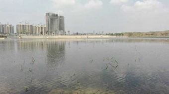 關(guān)于重慶秀山的詩(shī)句