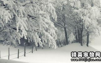 描繪冬景物的古詩(shī)句