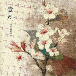 古詩(shī)月開頭的詩(shī)句