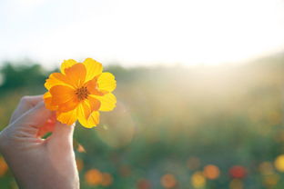 比喻心情好的唯美古詩(shī)句