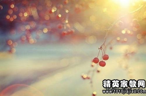 優(yōu)美的詩(shī)句關(guān)于青春