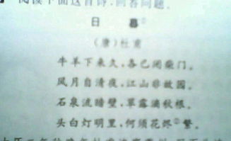 關于杜甫體現(xiàn)思想情感的詩句