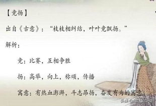 詩句,男子,名字