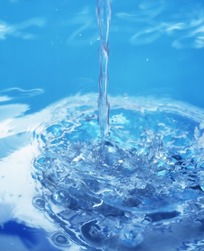 波紋,詩句,水中