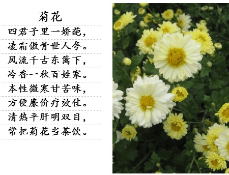 詩(shī)句,美滿,愛情