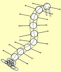 詩句,風(fēng)箏,于龍