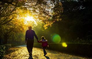 描述父愛的古詩句