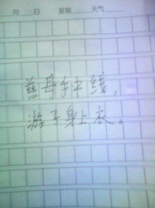 關(guān)于親情的詞語(yǔ)和詩(shī)句名言警句