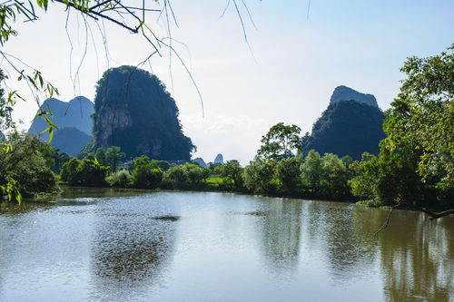 古詩,詩句,描寫,山水