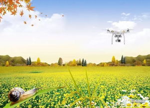 關(guān)于豐收得詩(shī)句