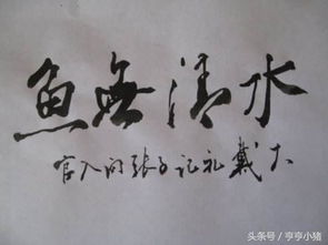 霸氣側(cè)漏的古詩(shī)句