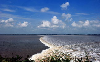 關(guān)于錢塘江的詩句弄潮兒