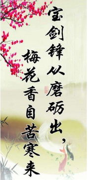 經(jīng)典勵(lì)志古詩(shī)句格言