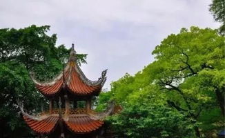 關(guān)于山寺樓閣的詩(shī)句