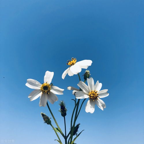 朗誦古詩句勵志向上