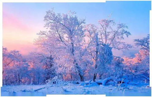 關(guān)于冬天的詩(shī)句散文