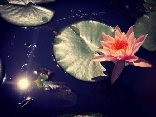 關(guān)于天庭的詩句