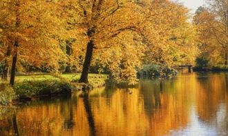 兩句,詩句,帶有