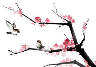 初中學了哪些關(guān)于梅花的詩句