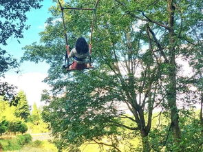 關(guān)于鳥鳴蟲叫的詩句