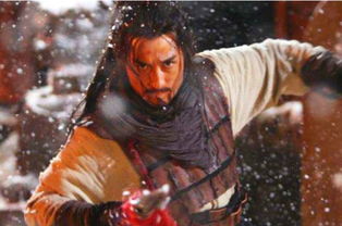 關(guān)于林沖的短詩(shī)句