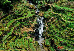 描述江西的美景的詩(shī)句,贊美江西美景的詩(shī)句,描寫江西山水美景的詩(shī)句