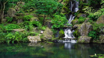 關(guān)于山澗泉水的詩(shī)句