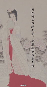 詩句,美貌,形容