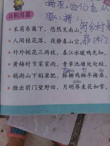 古詩(shī)詞,詩(shī)句,贊美,春天