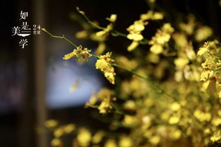 關(guān)于人與植物的詩句有哪些