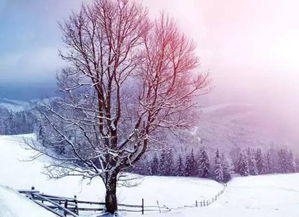 形容大自然美景的古詩句,形容秋天美景的古詩句,形容冬天美景的古詩句