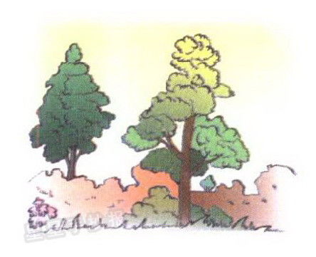 描寫山的詩句古詩大全,描寫杏花的詩句古詩大全,描寫月亮的詩句古詩大全