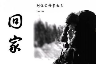 關(guān)于回家過節(jié)的詩句