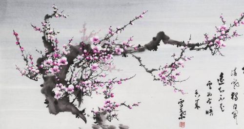 有關(guān)冬梅的古詩(shī)句