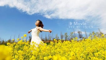 關于明月抒情的詩句是