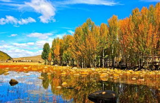 關于秋天水的詩句古詩詞