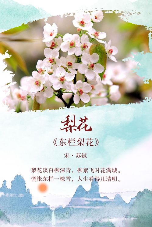 關(guān)于美女賞花的詩句