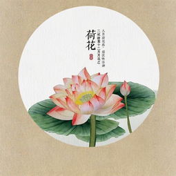 有關(guān)于月花的詩(shī)句