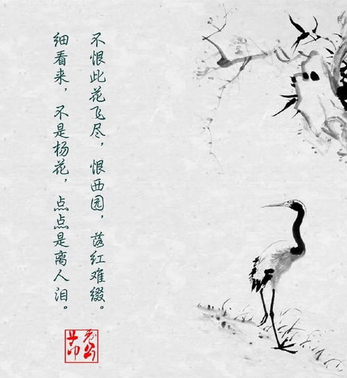 對(duì)感情失望的古詩(shī)句