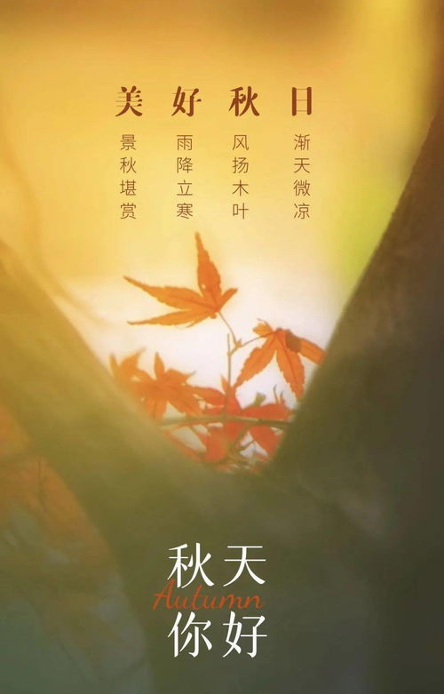 古詩(shī),詩(shī)句,于月