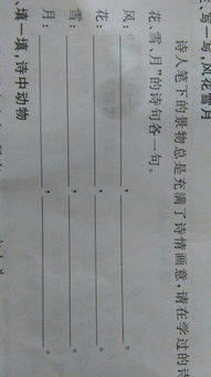 關(guān)于風(fēng)花雪月的詩句各四句