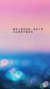 不辜負(fù)別人的古詩句