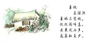 描寫(xiě)風(fēng)雨的詩(shī)句古詩(shī),關(guān)于花月的詩(shī)句古詩(shī),有風(fēng)雨的詩(shī)句古詩(shī)