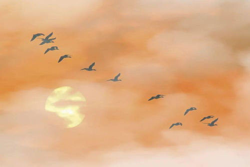 形容英雄氣概的詩句,贊美英雄氣概的詩句,具有英雄氣概的詩句