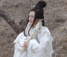 比美,嫦娥,詩句