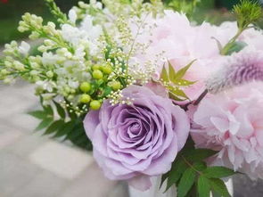 關于養(yǎng)花修行的詩句