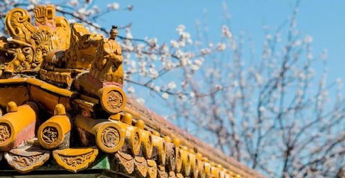 形容活在當(dāng)下的古詩句