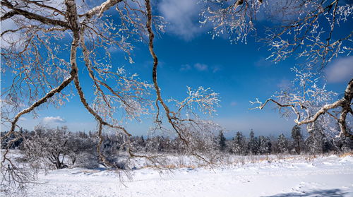 描寫江海的經典古詩句,描寫教師節(jié)的經典古詩句,描寫故鄉(xiāng)的經典古詩句