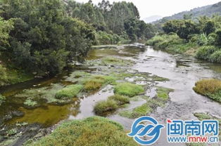 有溪的古詩(shī)句