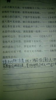 積極向上的古詩句整首加作者朝代